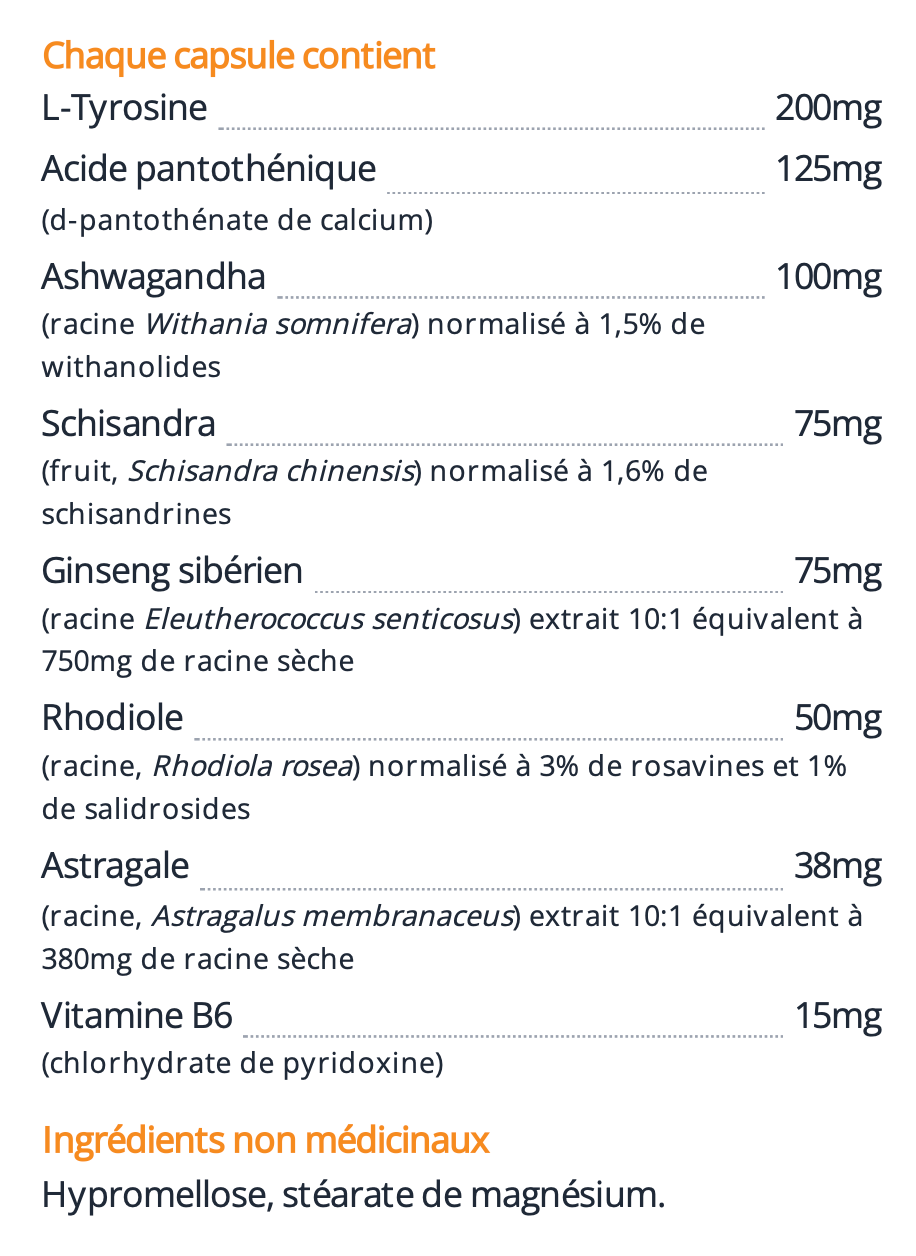 Bounce Back - Energie